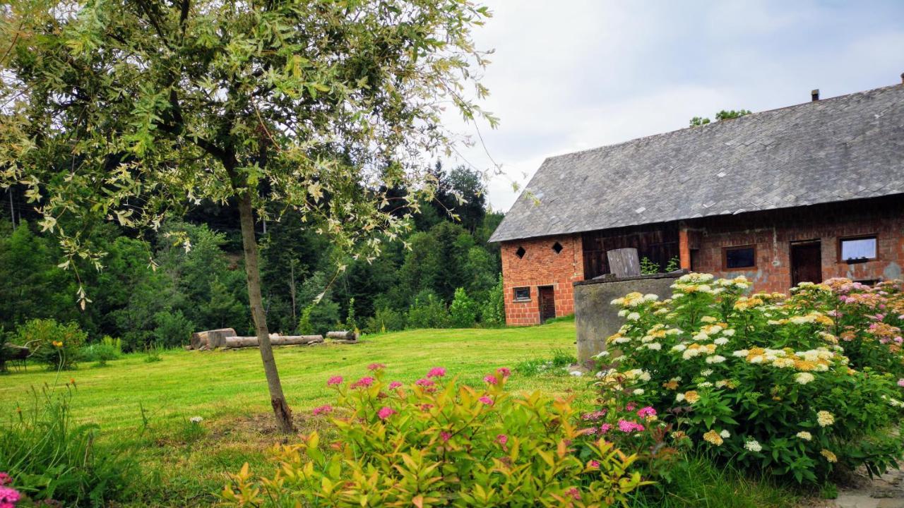 Wies Odnowa Łabowa Exterior foto